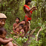 Donne yanomami nella loro foresta, la più grande del mondo sotto controllo indigeno © Fiona Watson / Survival